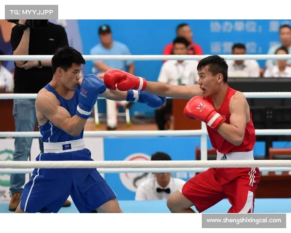 2014最新搏击赛事,2014年全国男子拳击锦标赛