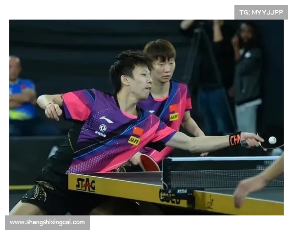 2017国兵卡塔尔赛事—国乒卡塔尔