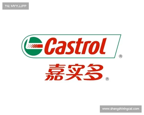 嘉实多professional 嘉实多professional