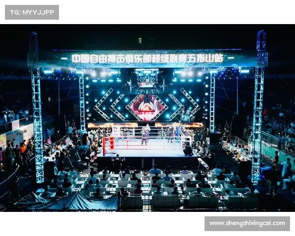 国内的搏击赛事有哪些